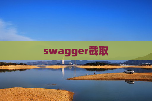 swagger截取